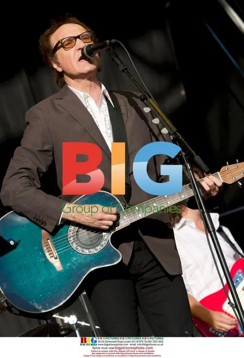 Ray Davies performs at Hop Farm Festival