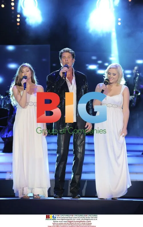 David Hasselhoff Performs Comeback Concert