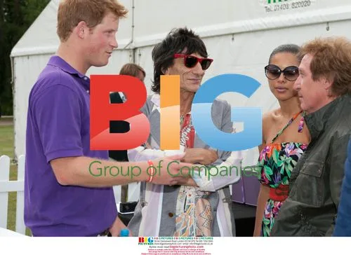 Prince Harry and friends at Asprey World Cup