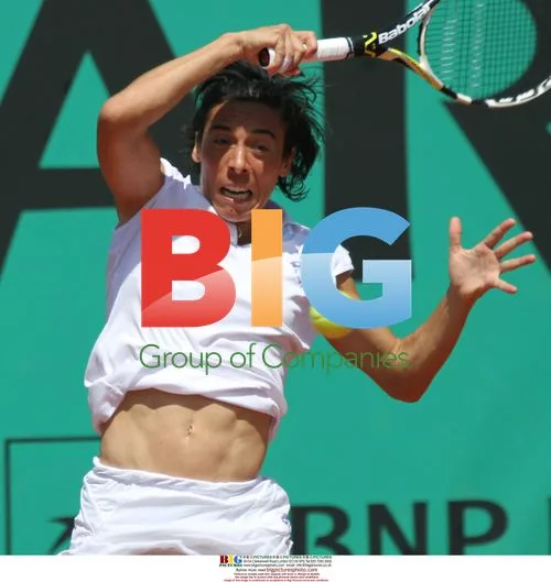 Francesca Schiavone hits shot in French Open semifinal
