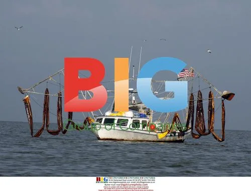 Shrimp boat cleans up oil spill in Louisiana