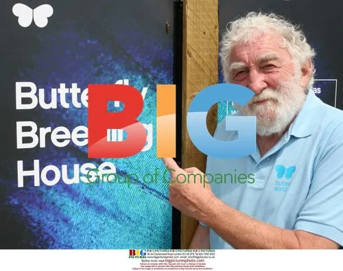David Bellamy Promotes National Insect Week