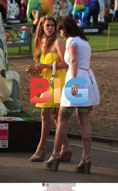 Princesses Beatrice and Eugenie at Elephant Parade Auction