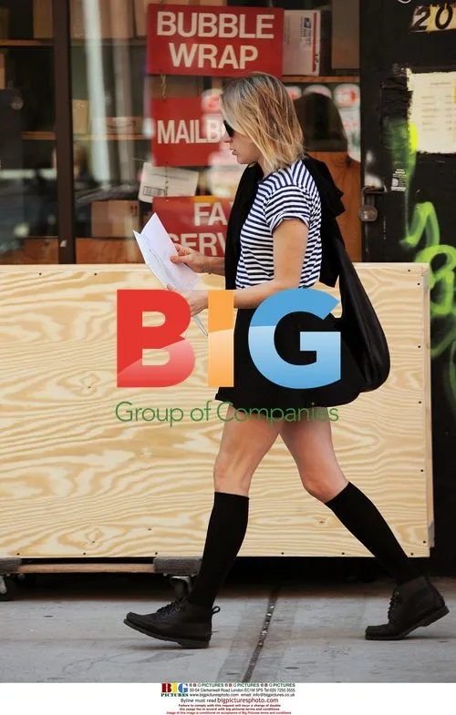 Chloe Sevigny Running Errands in NYC