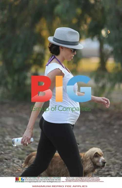 Dannii Minogue pregnancy stroll