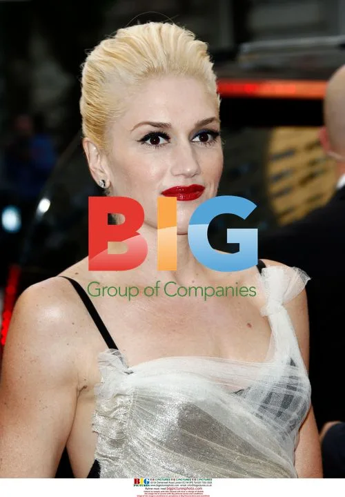 Gwen Stefani at 2010 Met Gala