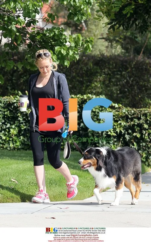 Hilary Duff Walks Dog, Gets Coffee in LA