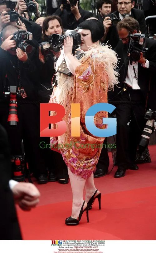 Beth Ditto at 'Outside of the law' premiere