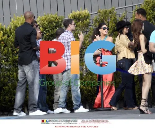 Wayne Bridge parties with friends in LA