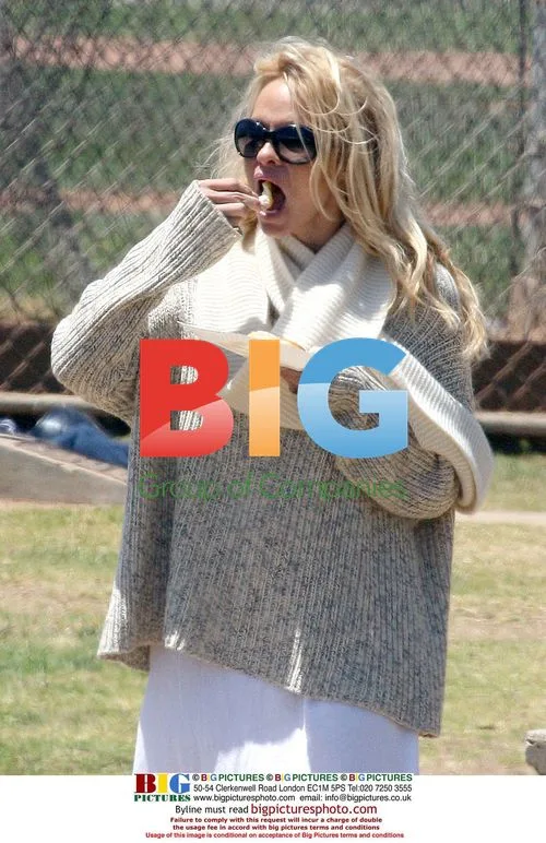 Pamela Anderson and new boyfriend watch kids' baseball game