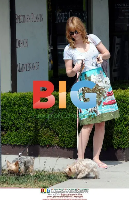 Actress Alex Breckenridge Walks Her Dogs