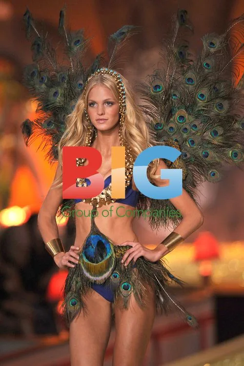 Erin Heatherton at 2010 Victoria's Secret Fashion Show