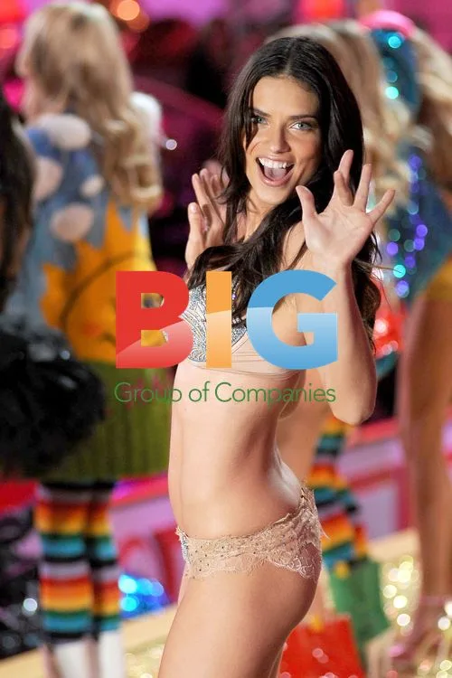 Alessandra Ambrosio at 2010 VS Fashion Show