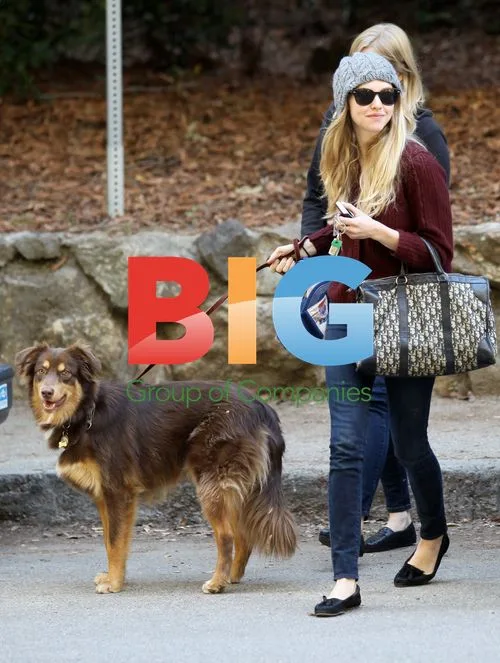 Amanda Seyfried and friends in Griffith Park