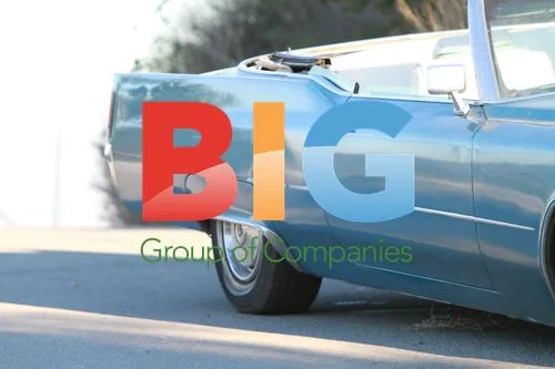 Mischa Barton's Abandoned Cadillac