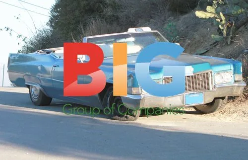 Mischa Barton's Damaged Cadillac