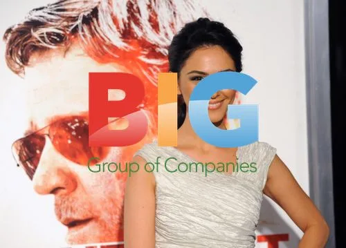 Nazanin Boniadi at The Next Three Days Premiere