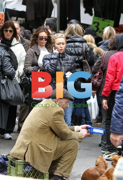 Hayden Panettiere Shopping