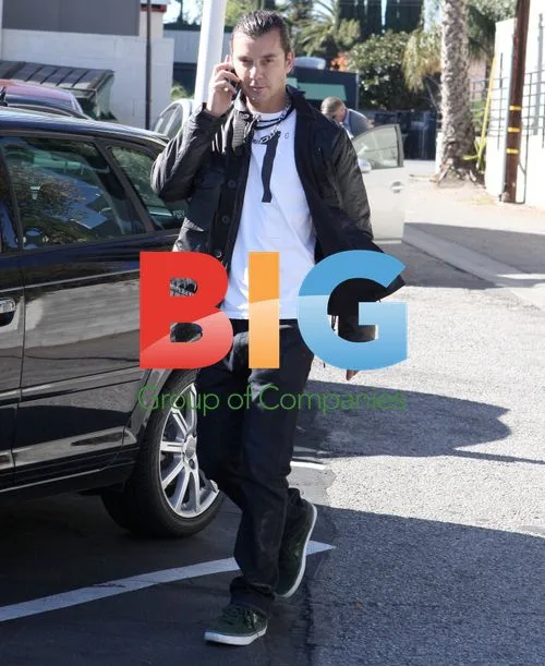 Gwen Stefani and family out for brunch