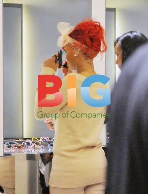 Rihanna's Paris Shopping Trip