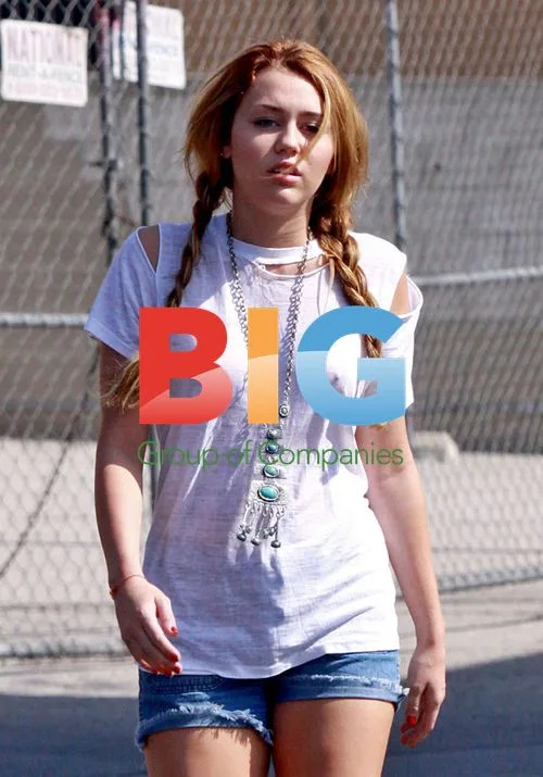 Miley Cyrus Confronts Paparazzo