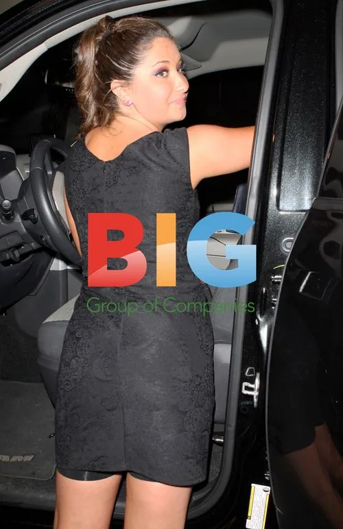 Bristol Palin's 20th Birthday Party