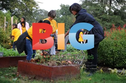 Michelle Obama Harvests White House Garden
