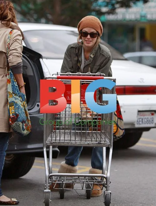 Rachel Bilson Grocery Shopping