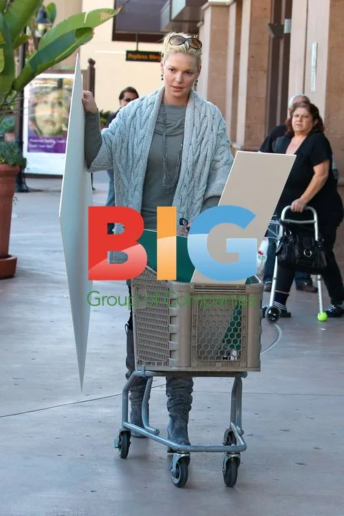 Katherine Heigl at Michael's Arts and Crafts