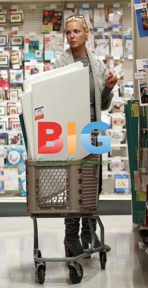 Katherine Heigl Shopping at Michael's