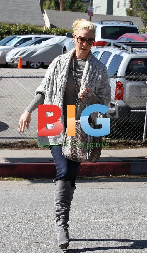 Katherine Heigl buys poster board