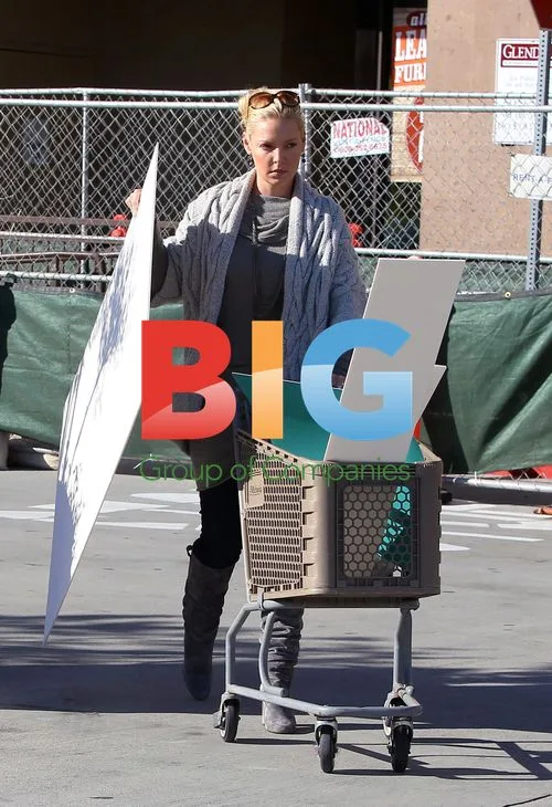 Katherine Heigl Shops at Michael's