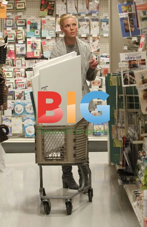 Katherine Heigl and Mother Shopping