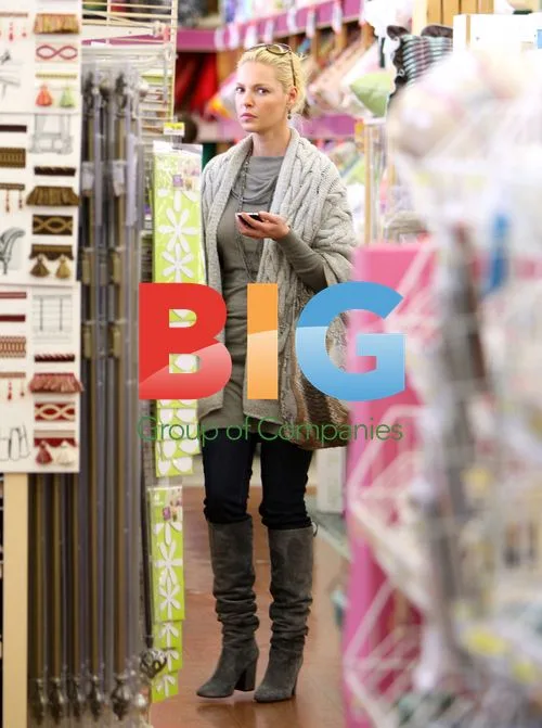 Katherine Heigl Shops at Michaels