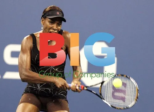 Venus Williams at U.S. Open 2010