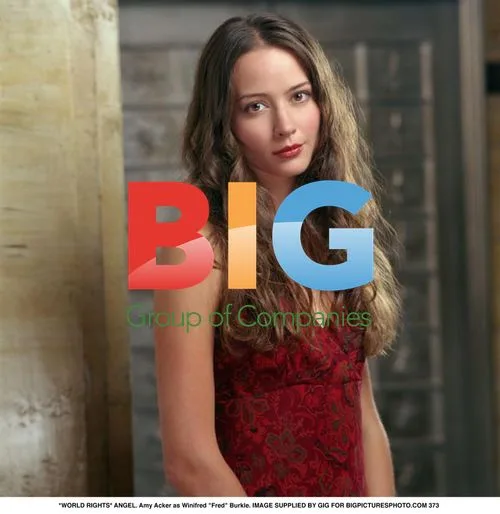 Amy Acker as Fred from Angel