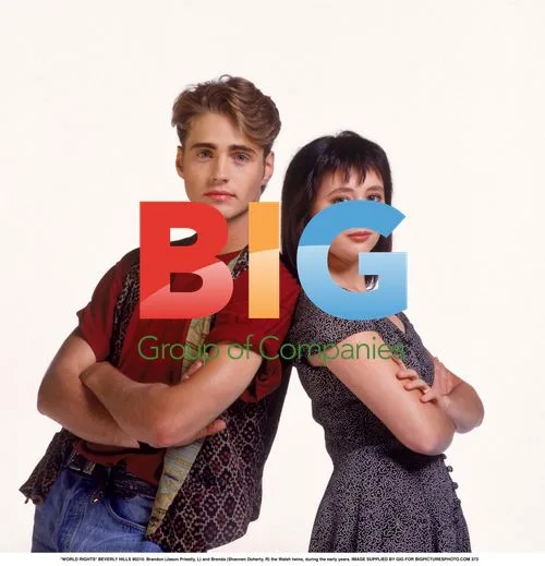 Brandon and Brenda Walsh, Beverly Hills 90210