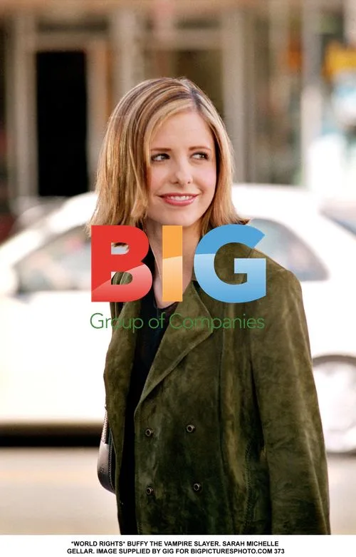 Sarah Michelle Gellar as Buffy
