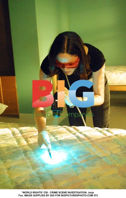 CSI: CRIME SCENE INVESTIGATION, Jorja Fox