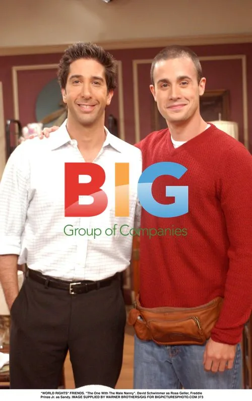 FRIENDS: Ross and Sandy