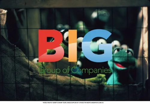 KERMIT'S SWAMP YEARS