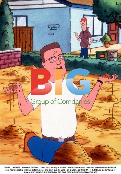 Hank and Dale on KING OF THE HILL