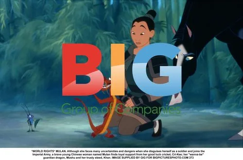 Mulan in Disguise with Allies