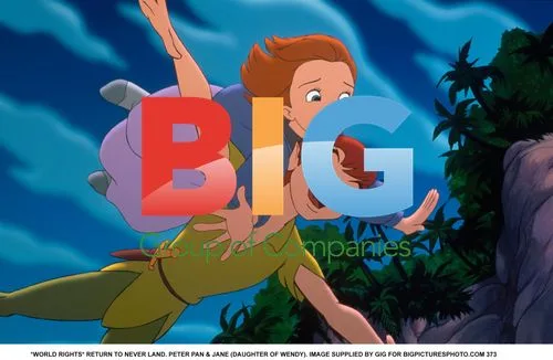 Return to Never Land
