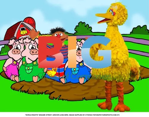 GROVER & BIG BIRD on Sesame Street
