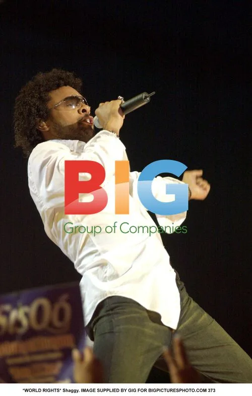Shaggy Performing on Stage