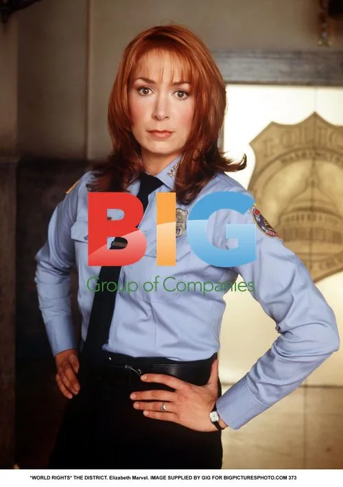 Elizabeth Marvel in "The District"