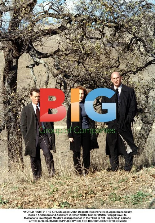 THE X-FILES Agents Investigate Mulder's Disappearance