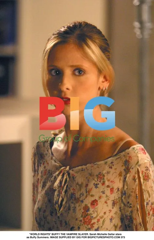 Sarah Michelle Gellar as Buffy