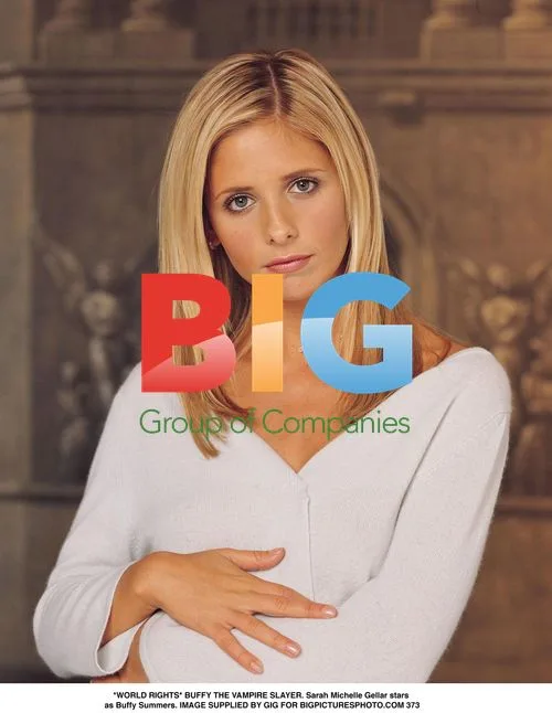 Sarah Michelle Gellar as Buffy